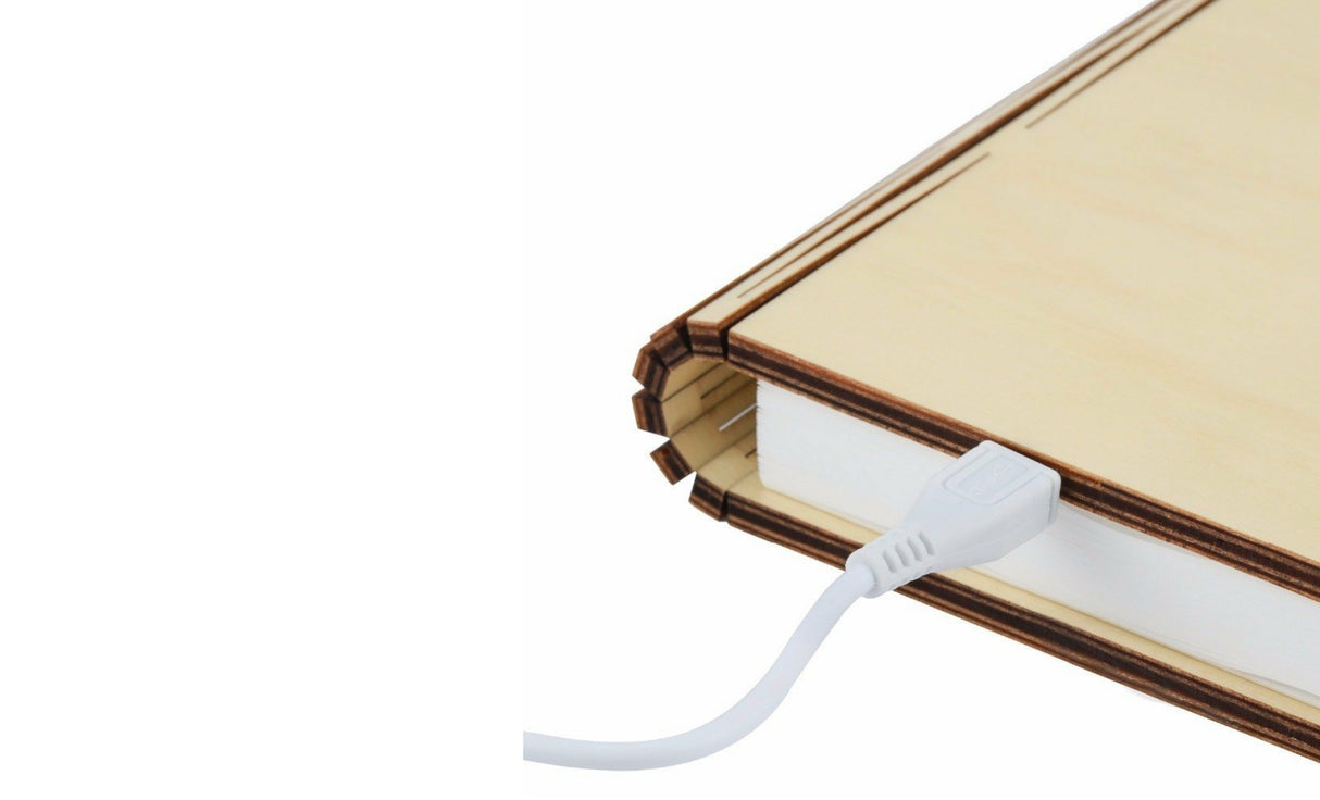 Maple Smart Book Light -Mini