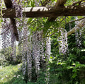 Haus & Garten