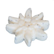 Eselmilchseife Edelweiss Blüte 60g