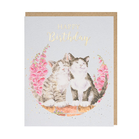 Grusskarte Happy Birthday Katzen