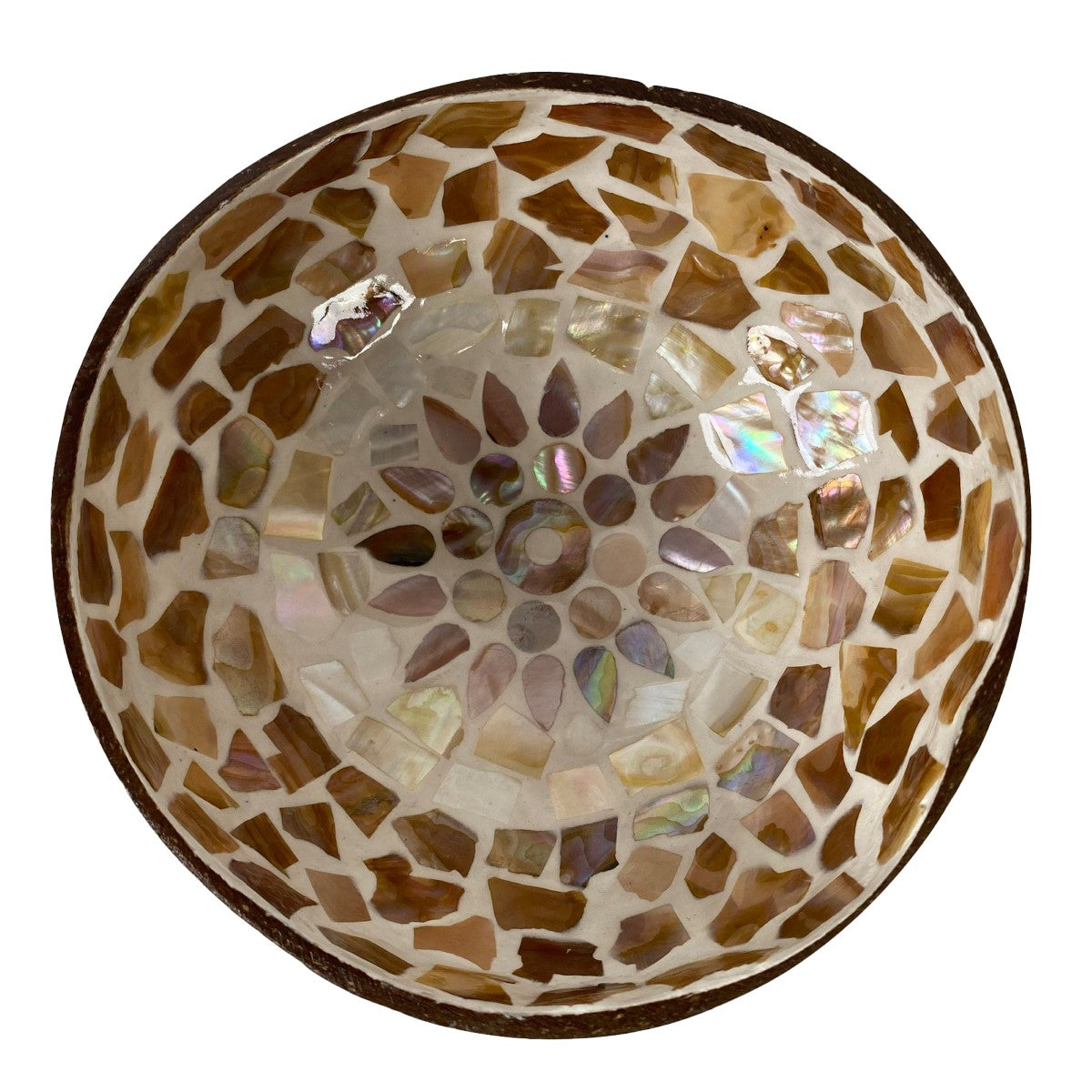 Schale Kokosnuss mit Perlmutt Braun/Weiss (2er Set)